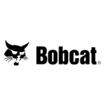 bobcat